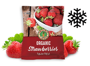 Frozen Foods